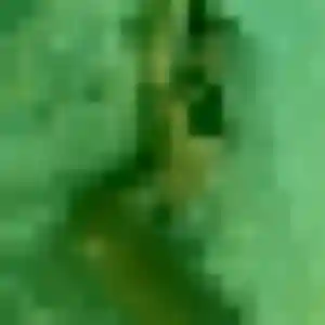 Photo sexy de Berengere, 27 ans à Acoua - plan discret