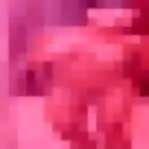 Leila (39 ans) à Allonnes cherche une rencontre rapidement