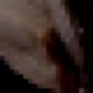 Daniela (27 ans) à Ambert cherche une rencontre aujourd'hui