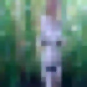 Photo sexy de Cassandre, 24 ans à Anglet - rencontre sans lendemain