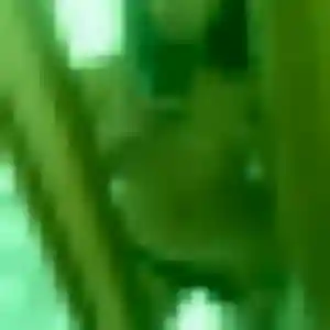 Photo exclusive de Charline, 38 ans à Artigues-près-Bordeaux - plan discret