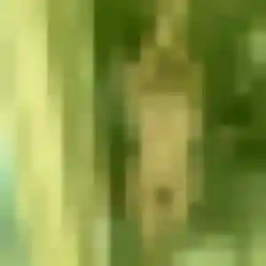 Mathilda, 37 ans, connectée à Aubergenville pour une rencontre coquine