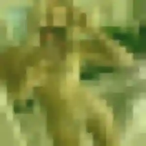 Photo privée de Leana, 22 ans à Baillargues - rencontre coquine