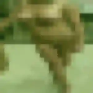 Marie-Therese, fille de 19 ans cherche plan cul à Bischheim