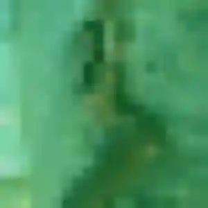 Photo de Zina à Bouaye (45 ans) - plan cul discret