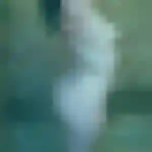 Photo perso de Bertrane, 32 ans à Bourg-la-Reine - plan discret