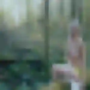 Rencontre Geneve, 31 ans à Cergy en t'inscrivant