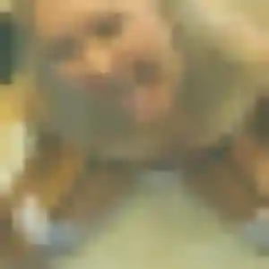 Domitille, 29 ans, cherche un plan cul à Chalon-sur-Saône