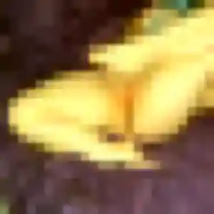 Berenice, 25 ans, disponible à Chauny pour une rencontre coquine