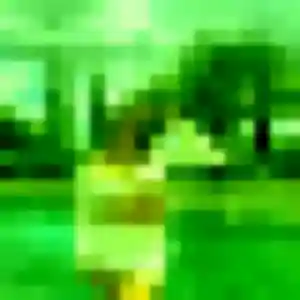 Photo sexy de Violette, 28 ans à Chauray - rencontre sans lendemain