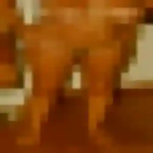 Ursule, femme de 43 ans cherche plan cul à Crolles