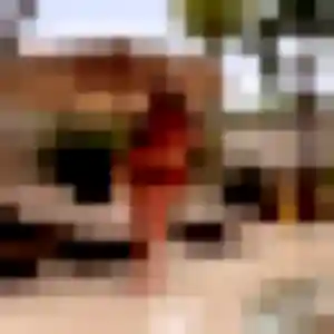 Meriem, 24 ans, dispo pour plan cul à Dol-de-Bretagne
