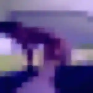 Belle Zephyrine, 25 ans à Dunkerque - la contacter