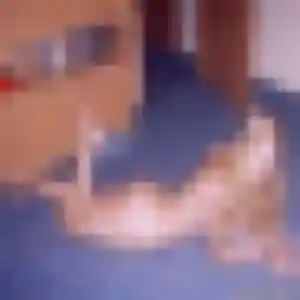 Photo de Isaure à Fegersheim (45 ans) - plan cul anonyme
