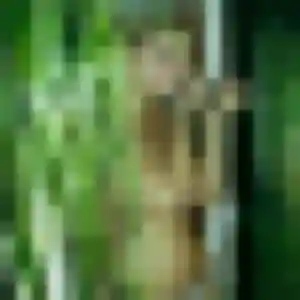 Photo sexy de Theresa, 25 ans à Feurs - plan discret