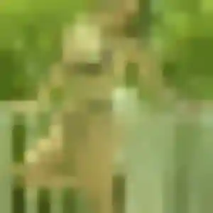 Sexy Lisette, 38 ans à Fontenay-aux-Roses - la contacter
