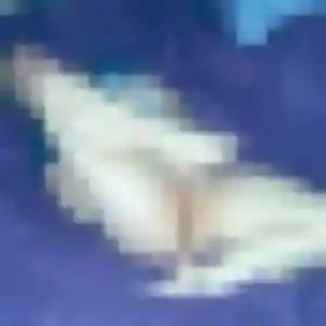 Thais, 26 ans, disponible à Fontenay-sous-Bois pour une rencontre coquine