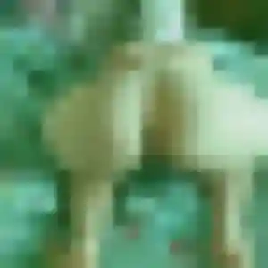 Sexy Charlotte, 43 ans à Francheville - la contacter