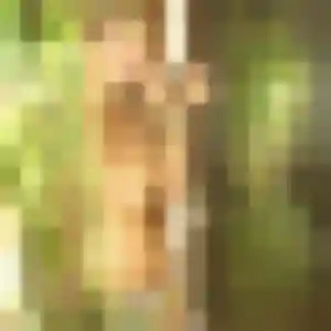 Olympe de Geispolsheim, 27 ans - plan cul sans prise de tête