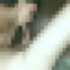 Frederique, 21 ans, dispo pour plan cul à Gérardmer