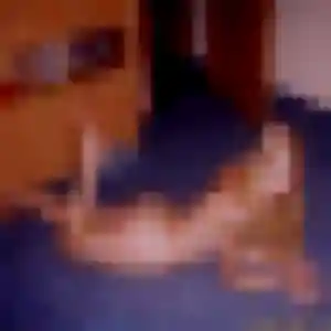 Henriette (22 ans) à Habsheim propose une rencontre ce soir