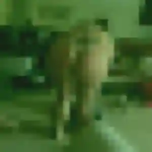 Profil de Wendy à Igny (33 ans) - plan cul discret
