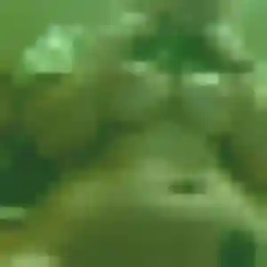 plan cul à Isle : photo de Rym, 32 ans - accès libre