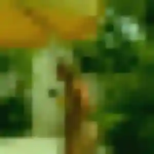 Paloma, 41 ans, cherche un plan cul à Jouars-Pontchartrain