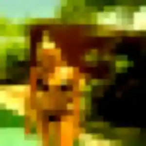 Photo de Iseult à Kembs (35 ans) - plan cul anonyme