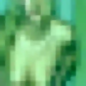 Profil de Brigitte à La Chapelle-Saint-Mesmin (45 ans) - plan cul anonyme