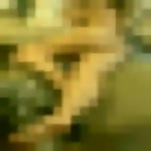 Photo exclusive de Aurore, 36 ans à La Ferté Macé - rencontre coquine