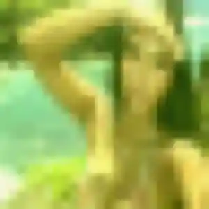 Photo exclusive de Typhaine, 36 ans à La Ferté-sous-Jouarre - rencontre coquine