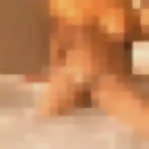 Belle Corinne, 28 ans à La Gorgue - découvrir son profil