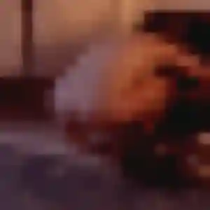 Photo de Zineb à La Talaudière (28 ans) - plan cul discret