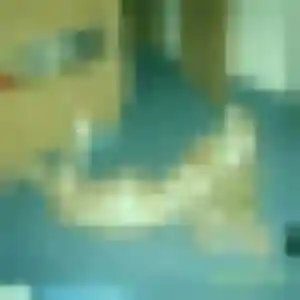 Photo privée de Phoebe, 25 ans à Lestrem - rencontre sans lendemain