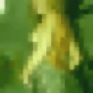 plan cul à Ligné : photo de Jessica, 22 ans - accès libre