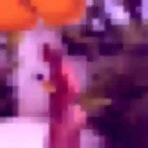 Photo privée de Daphne, 36 ans à Longuenesse - plan discret