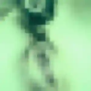 Profil de Sophie à Lucé (43 ans) - plan cul anonyme