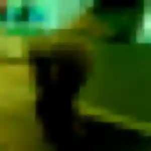 Photo privée de Sylvie, 24 ans à Machecoul-Saint-Même - rencontre sans lendemain