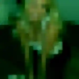 Profil de Celeste à Maule (29 ans) - plan cul anonyme