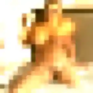 Photo perso de Tania, 19 ans à Mézidon Vallée d'Auge - rencontre coquine