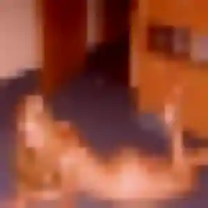 Anne (33 ans) à Migné-Auxances cherche une rencontre rapidement