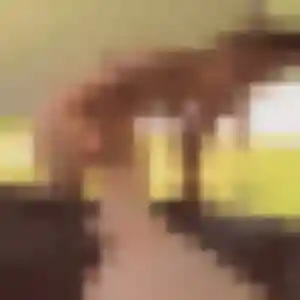 Photo sexy de Clarisse, 25 ans à Mios - rencontre sans lendemain