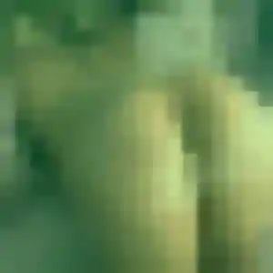 Lucie, 41 ans, cherche un plan cul à Montech