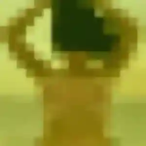Photo exclusive de Svetlana, 35 ans à Montereau-Fault-Yonne - rencontre sans lendemain