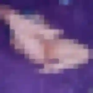 Photo privée de Valentina, 36 ans à Monteux - rencontre coquine