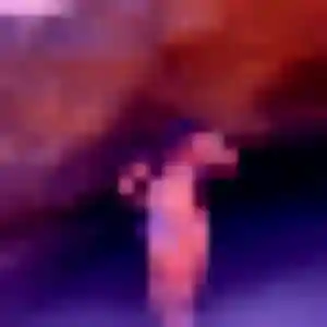 Rejoins Virginie, 29 ans à Montrond-les-Bains en t'inscrivant