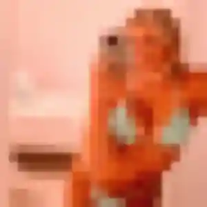 Photo exclusive de Ghislaine, 28 ans à Mourmelon-le-Grand - rencontre coquine