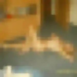 Valentine, 24 ans, dispo pour plan cul à Mundolsheim