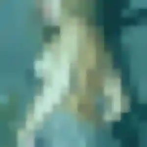 Photo de Phoebe à Muret (37 ans) - plan cul anonyme